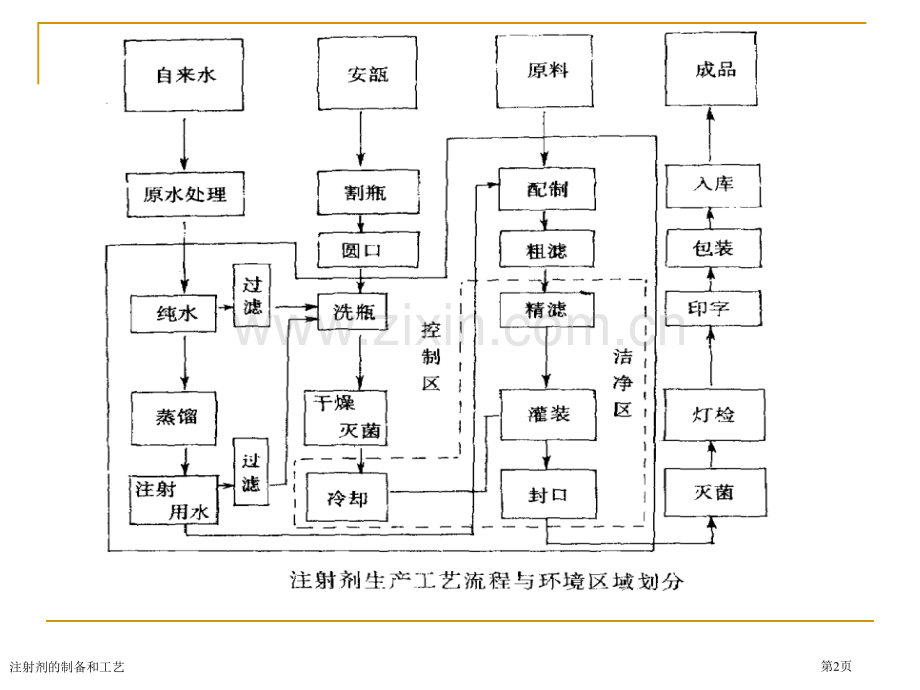 注射剂的制备和工艺专家讲座.pptx_第2页