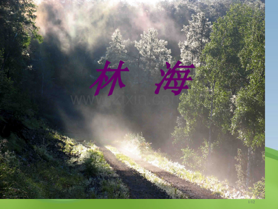 林海-PPT---市名师优质课赛课一等奖市公开课获奖课件.pptx_第1页