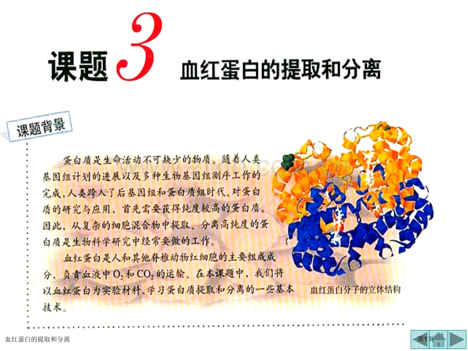 血红蛋白的提取和分离专家讲座.pptx_第1页