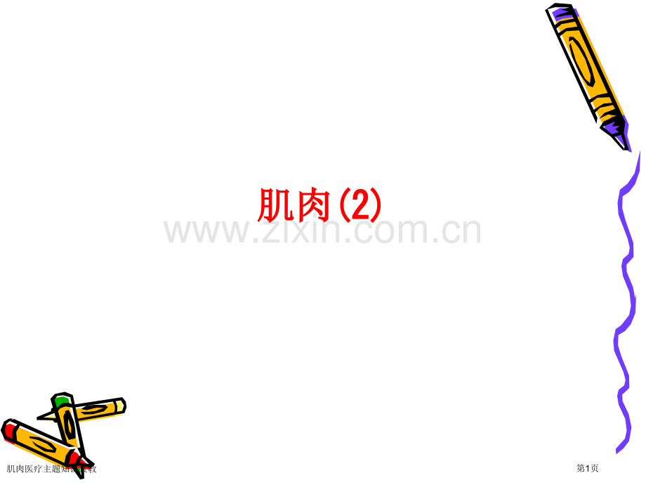 肌肉医疗主题知识宣教.pptx_第1页