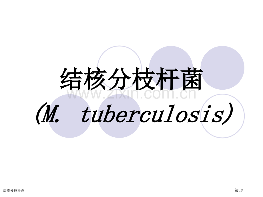 结核分枝杆菌专家讲座.pptx_第1页