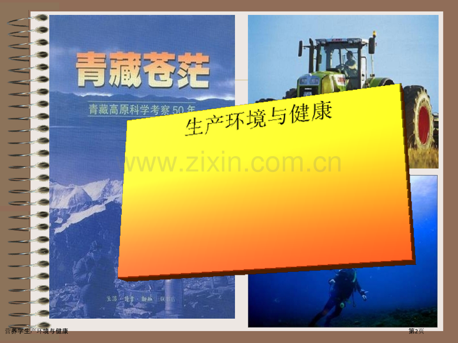营养学生产环境与健康.pptx_第2页