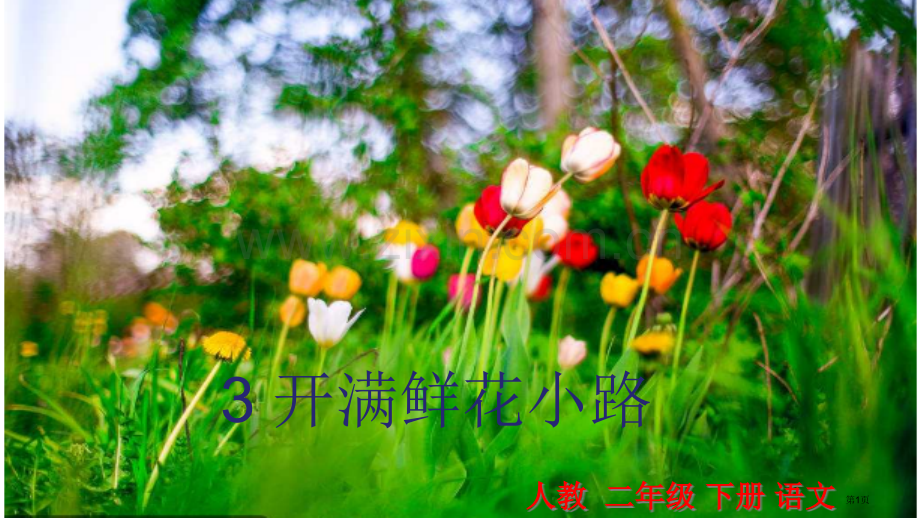 开满鲜花的小路1市公开课金奖市赛课一等奖课件.pptx_第1页