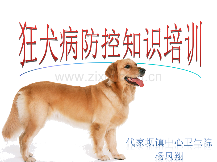 2015狂犬病PPT中小学.pptx_第1页