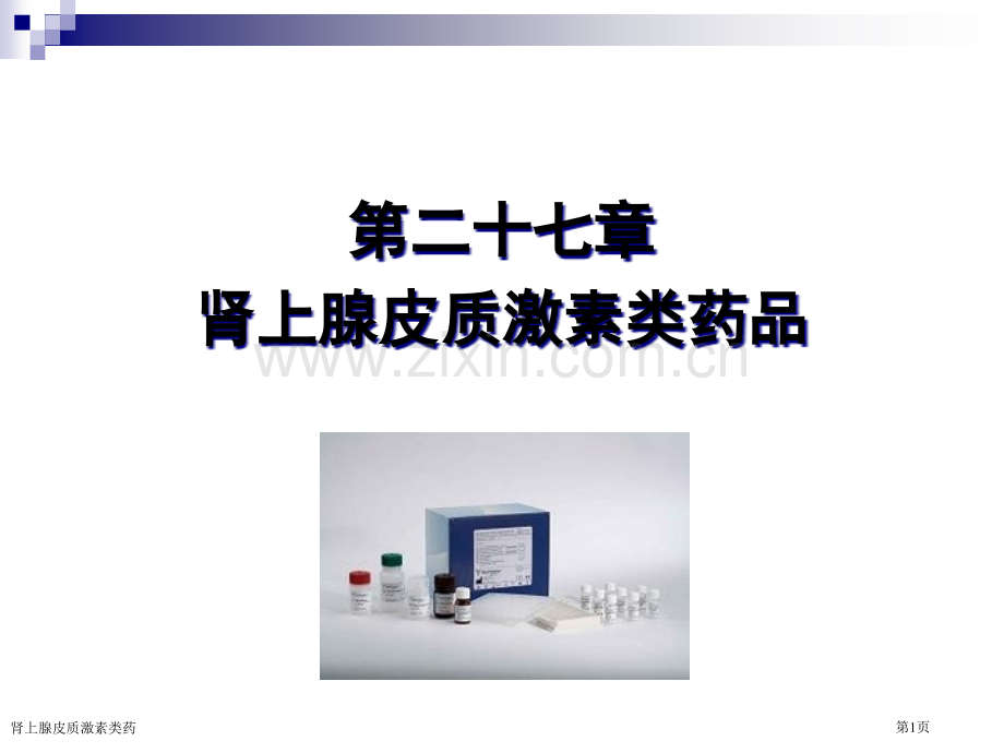 肾上腺皮质激素类药专家讲座.pptx_第1页