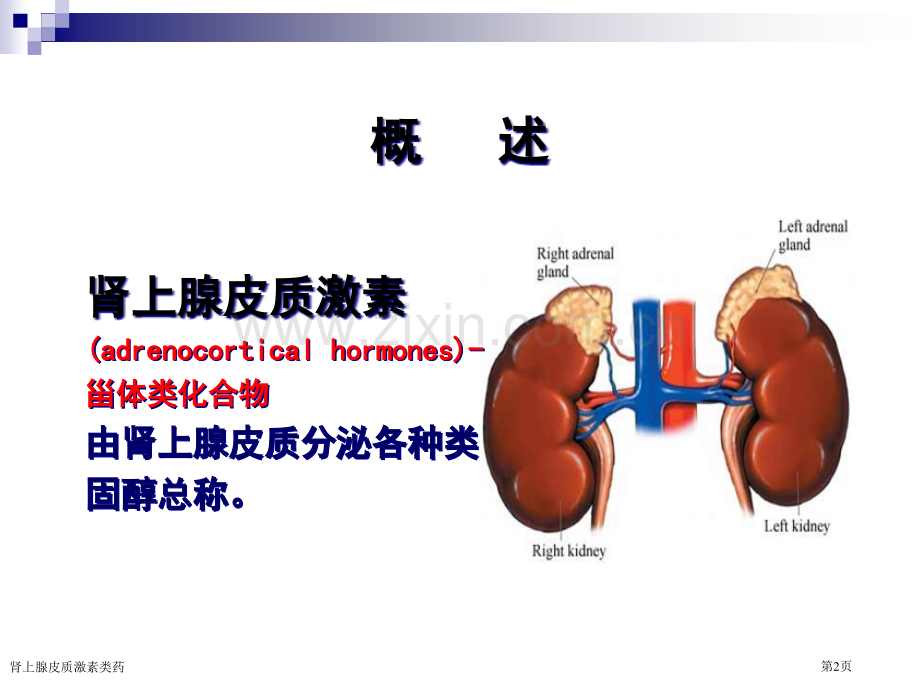肾上腺皮质激素类药专家讲座.pptx_第2页
