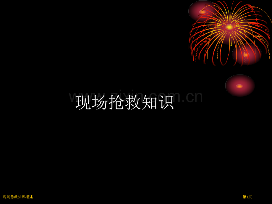 现场急救知识概述.pptx_第1页
