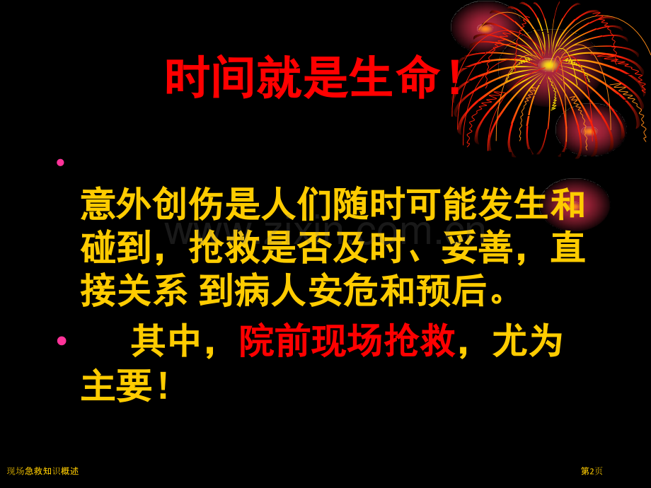 现场急救知识概述.pptx_第2页