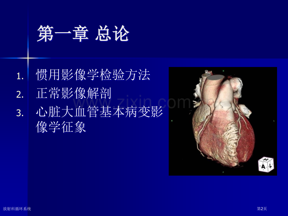 放射科循环系统专家讲座.pptx_第2页