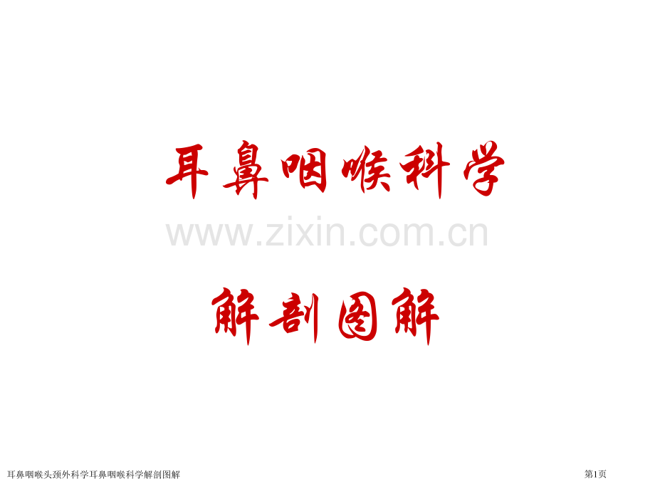 耳鼻咽喉头颈外科学耳鼻咽喉科学解剖图解专家讲座.pptx_第1页