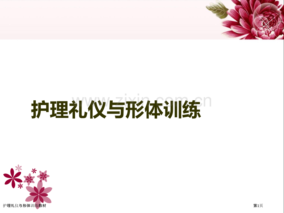护理礼仪与形体训练教材.pptx_第1页