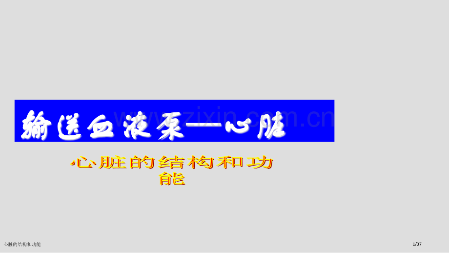 心脏的结构和功能.pptx_第1页