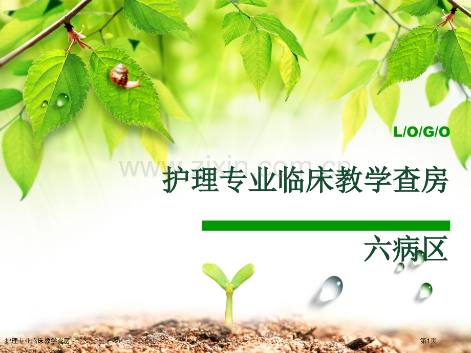 护理专业临床教学查房专家讲座.pptx_第1页