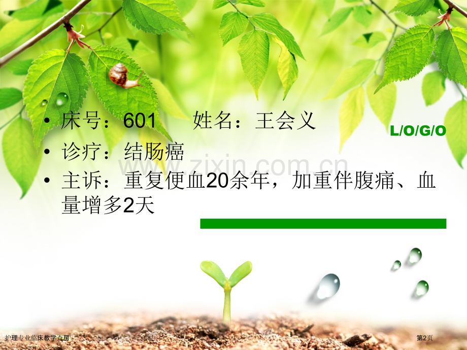 护理专业临床教学查房专家讲座.pptx_第2页
