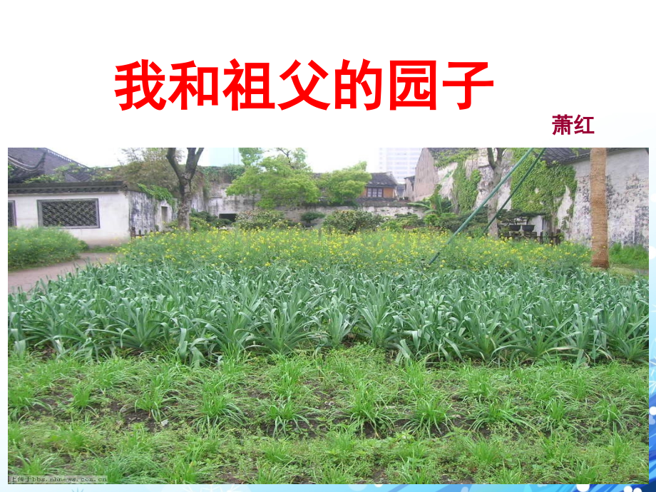 19我和祖父的园子.pptx_第2页