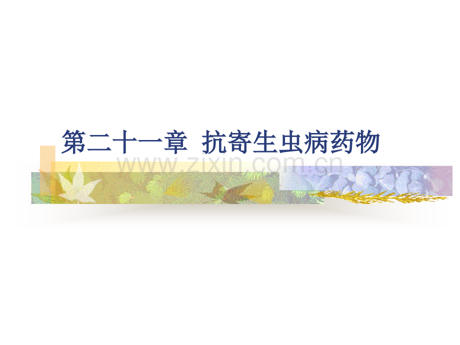 40抗寄生虫药完.pptx_第1页