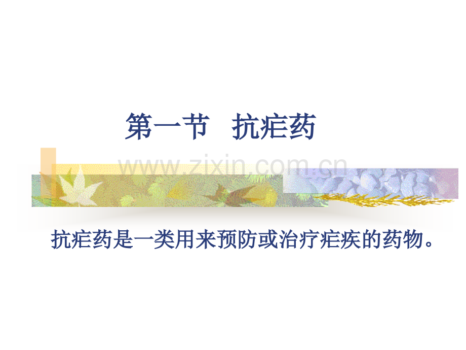 40抗寄生虫药完.pptx_第2页