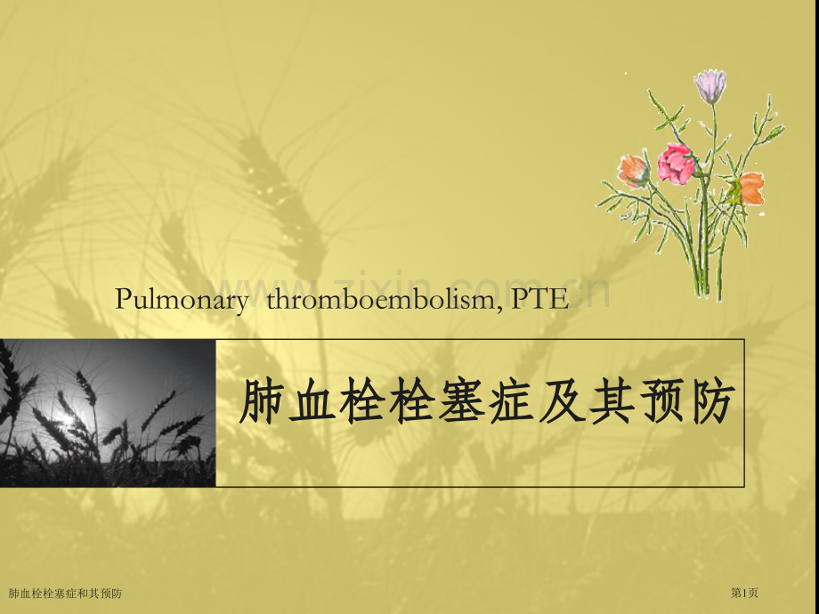 肺血栓栓塞症和其预防专家讲座.pptx_第1页