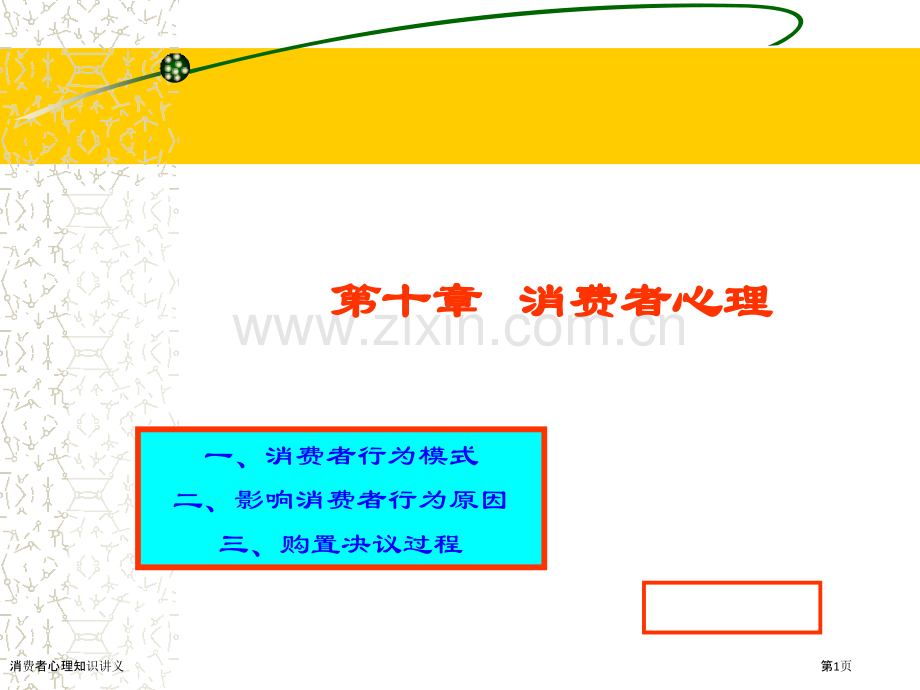 消费者心理知识讲义.pptx_第1页