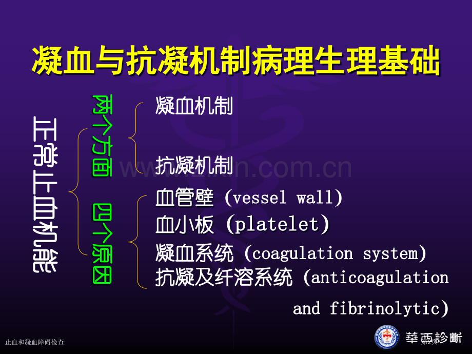 止血和凝血障碍检查专家讲座.pptx_第2页