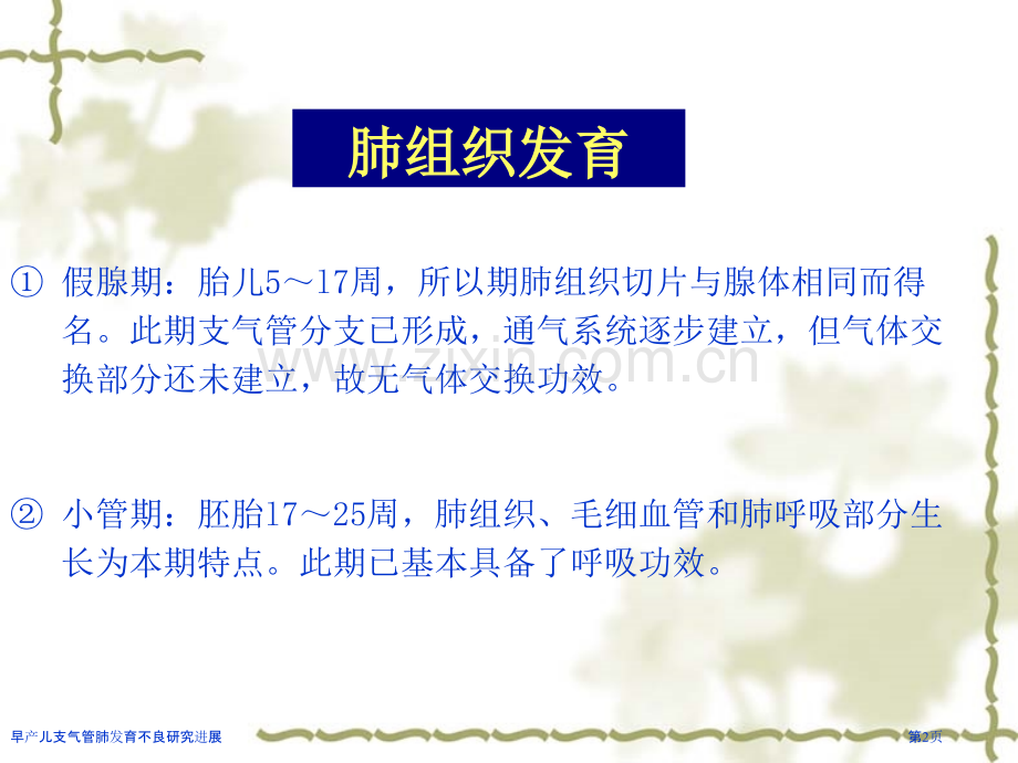 早产儿支气管肺发育不良研究进展专家讲座.pptx_第2页