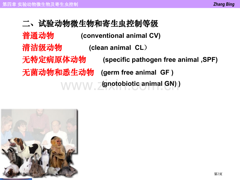 实验动物微生物控制专家讲座.pptx_第2页