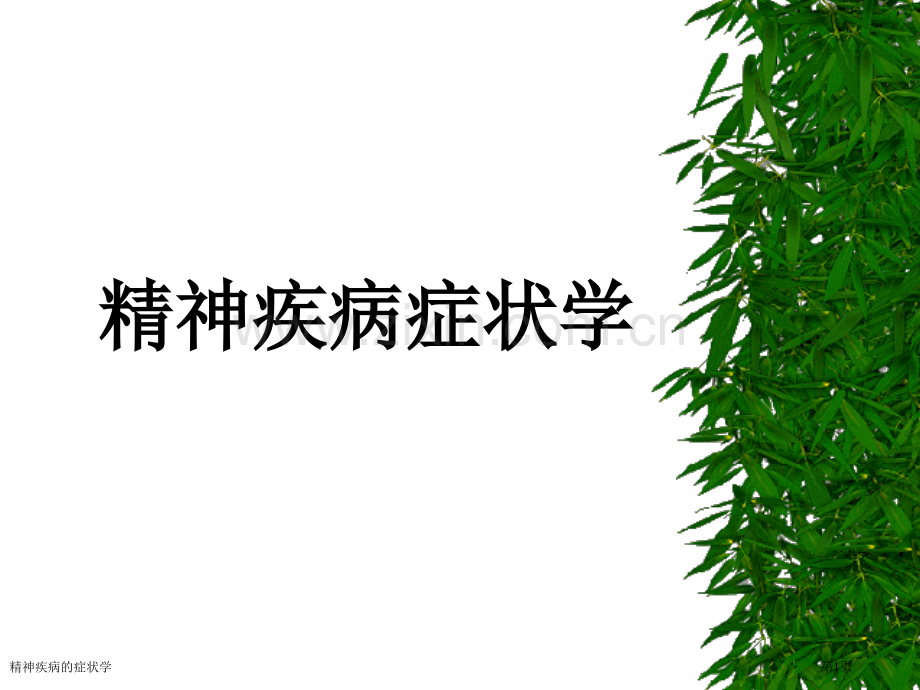 精神疾病的症状学专家讲座.pptx_第1页