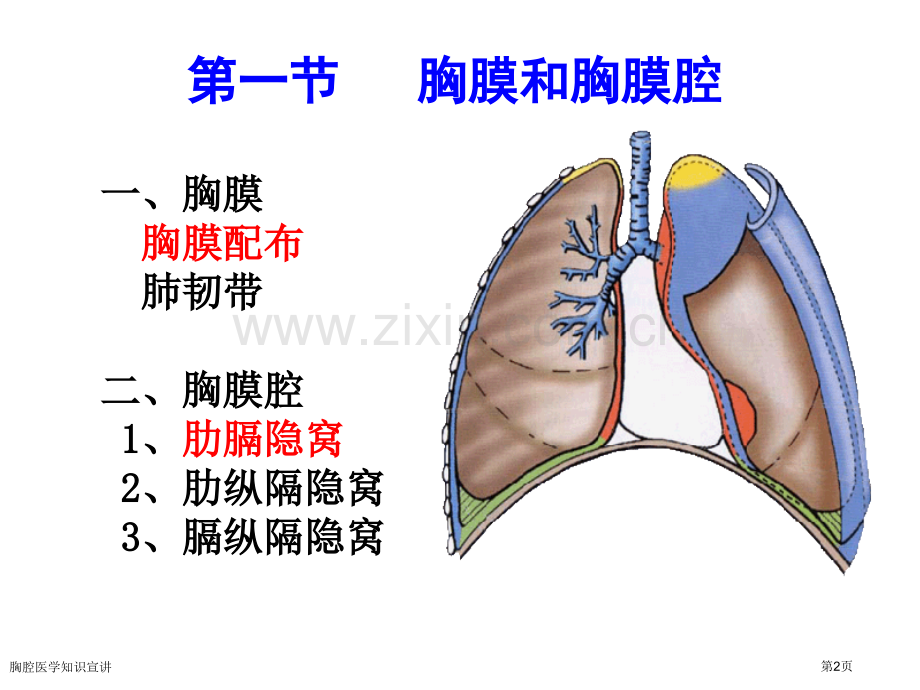 胸腔医学知识宣讲专家讲座.pptx_第2页