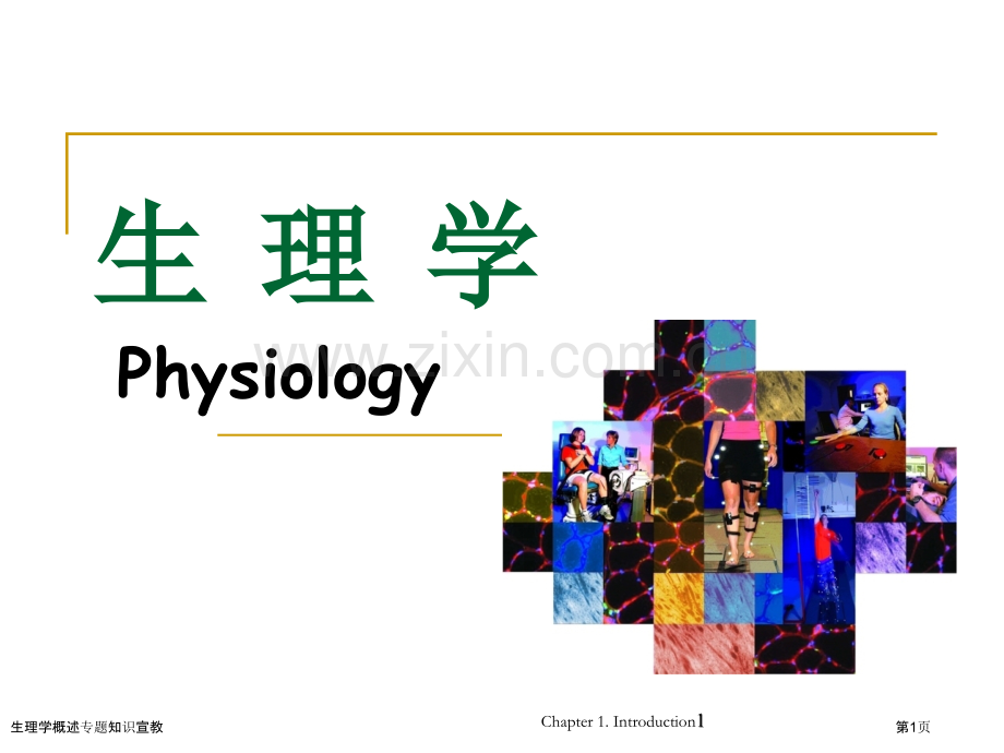 生理学概述专题知识宣教专家讲座.pptx_第1页