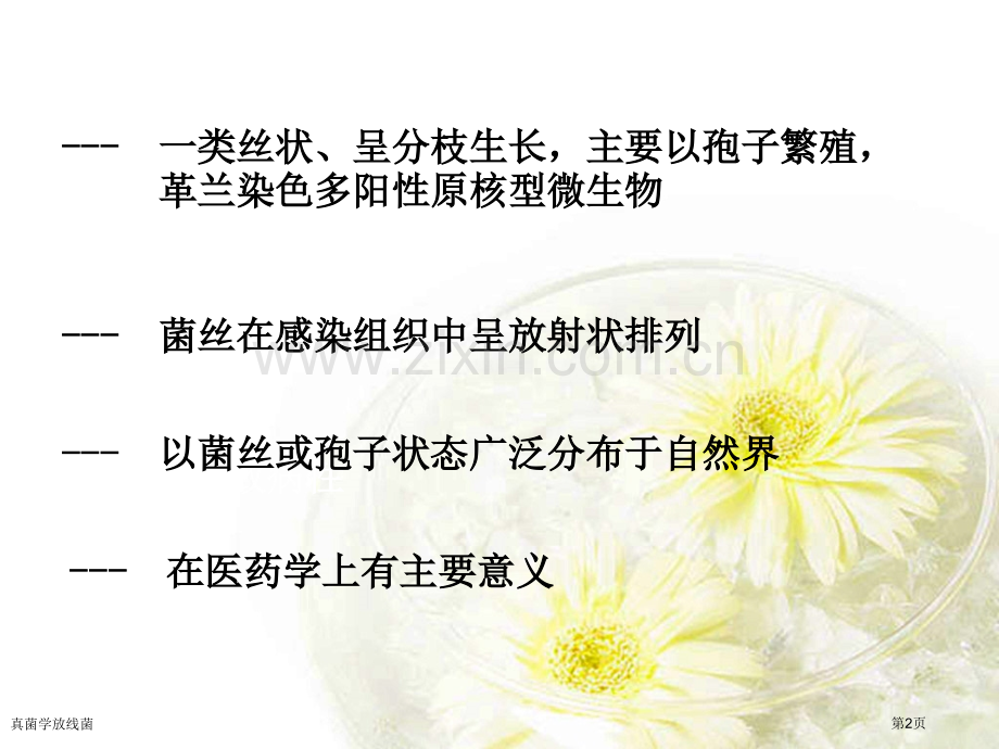 真菌学放线菌专家讲座.pptx_第2页
