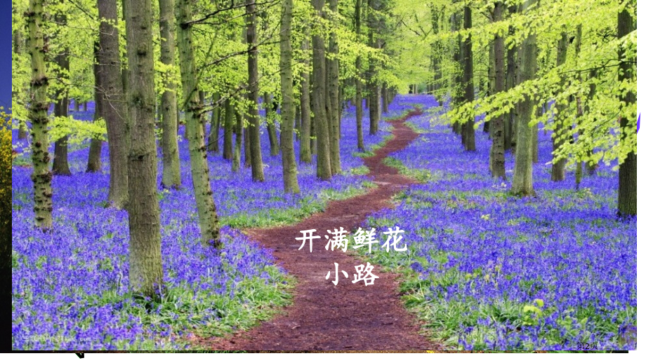 开满鲜花的小路市公开课金奖市赛课一等奖课件.pptx_第2页