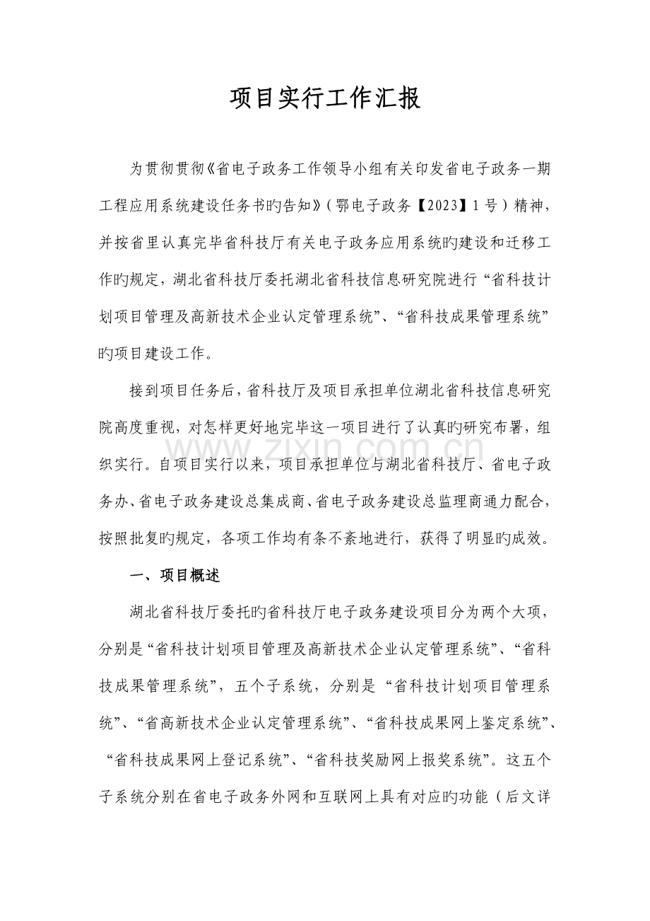项目报告新版.doc_第1页