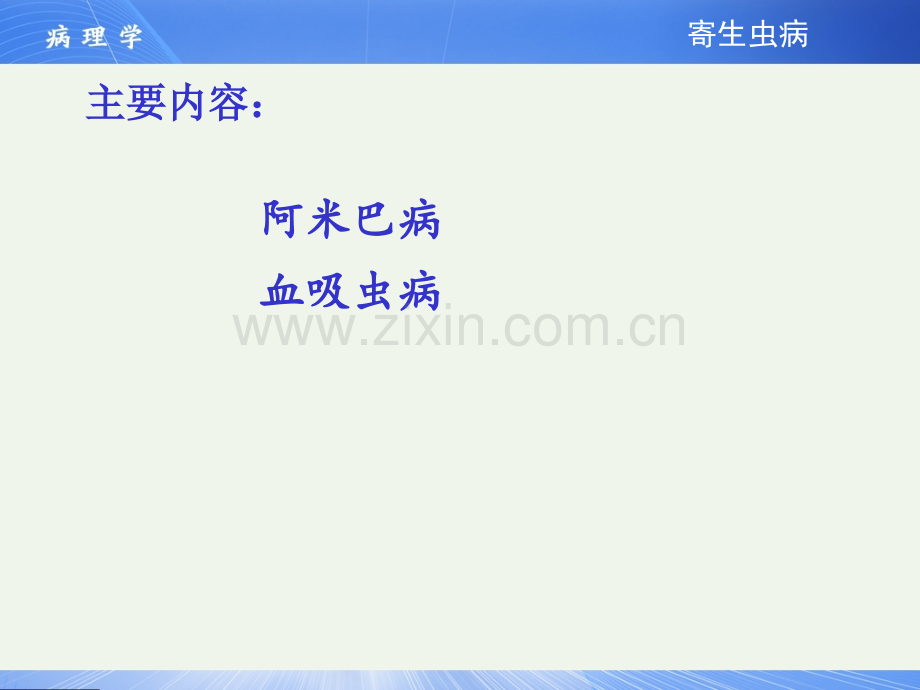 16寄生虫病总结.pptx_第2页