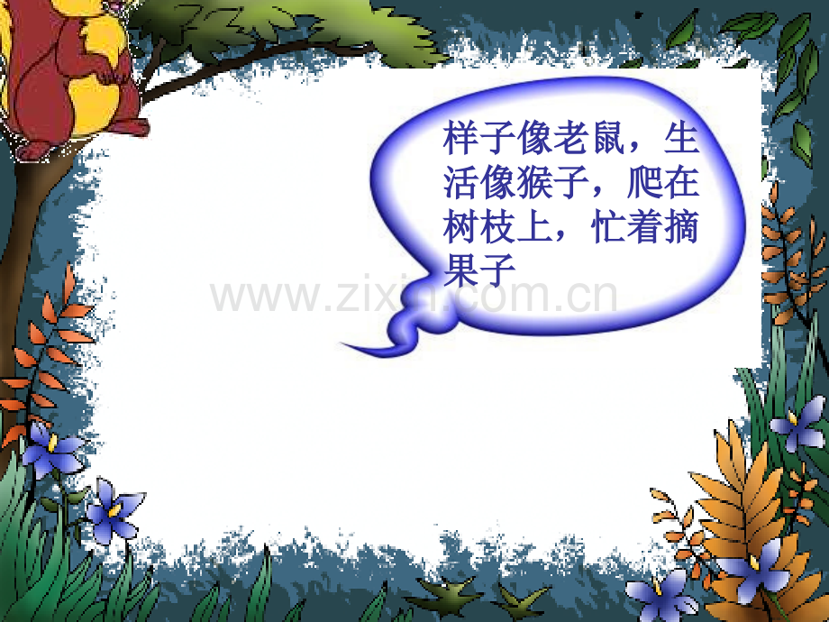 16小松鼠找花生.pptx_第2页
