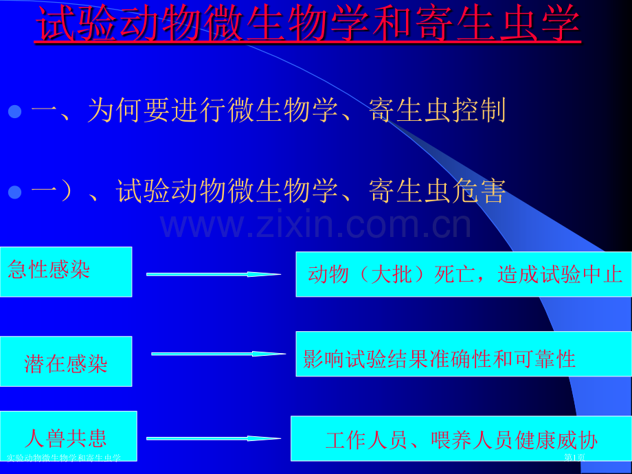 实验动物微生物学和寄生虫学专家讲座.pptx_第1页