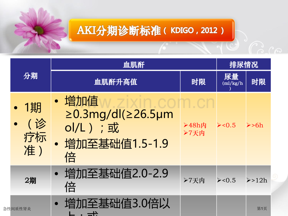 急性间质性肾炎.pptx_第1页