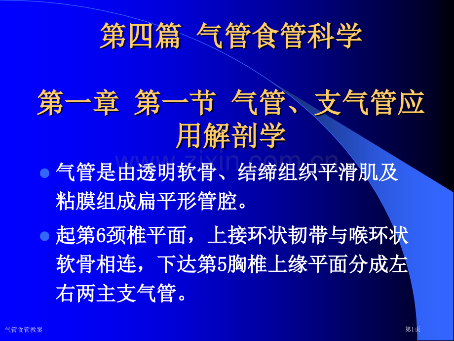 气管食管教案专家讲座.pptx_第1页