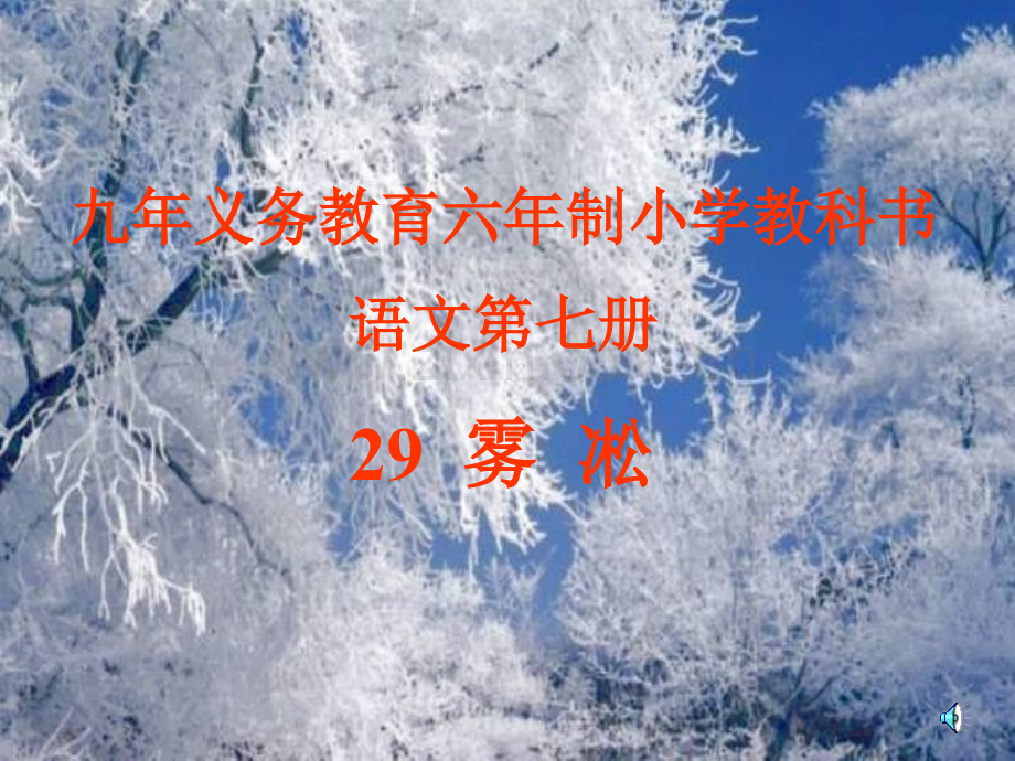 雾淞苏教版四年级.pptx_第1页