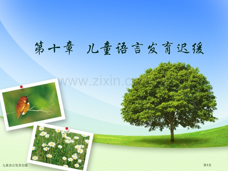 儿童语言发育迟缓.pptx_第1页