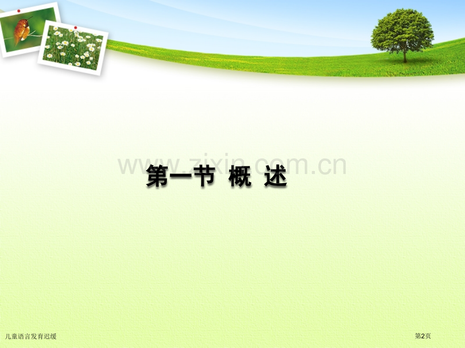 儿童语言发育迟缓.pptx_第2页