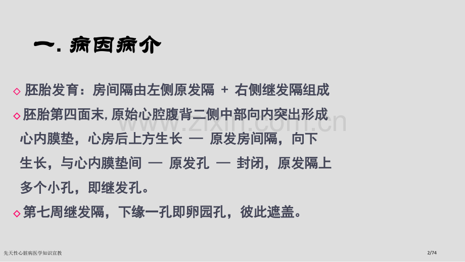 先天性心脏病医学知识宣教.pptx_第2页
