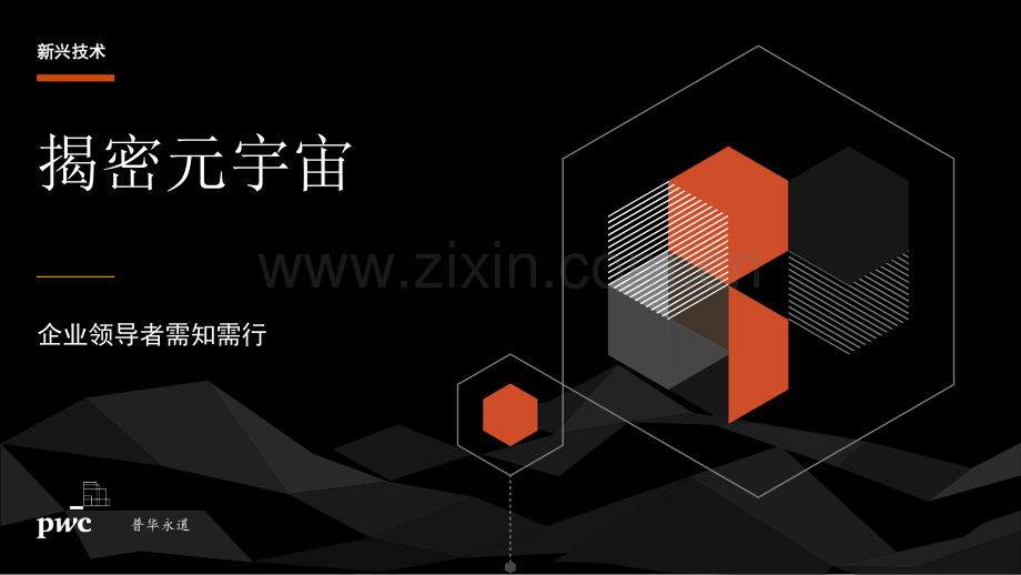 揭秘元宇宙：企业领导者需知需行.pdf_第1页
