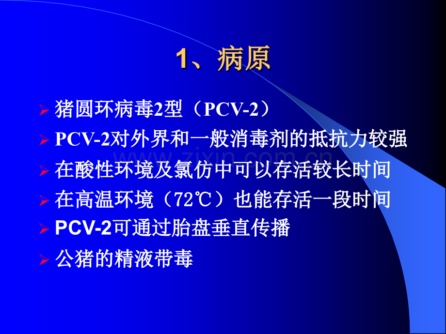 猪圆环病毒2型.pptx_第2页