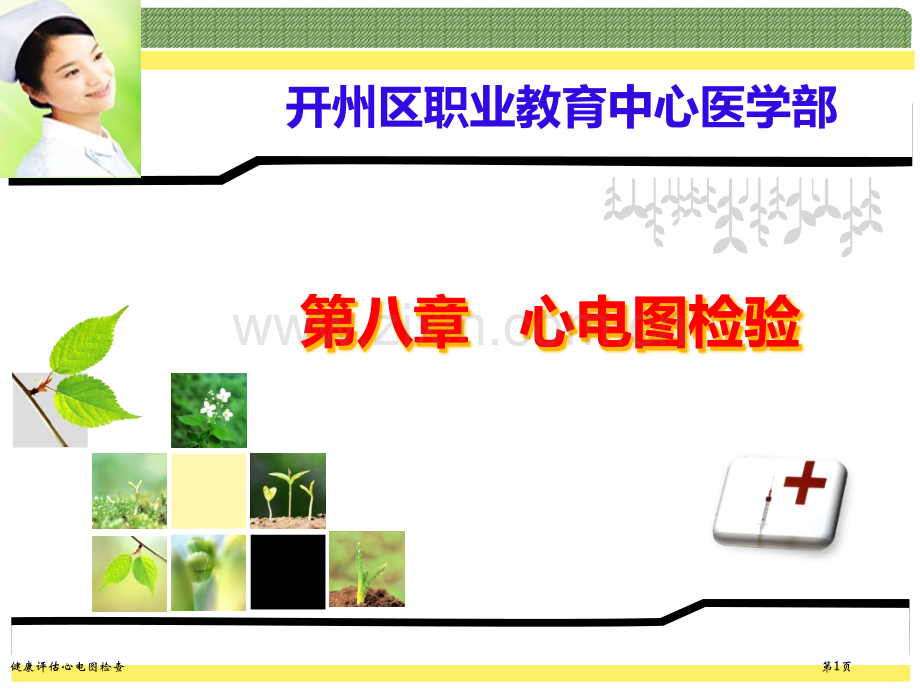 健康评估心电图检查.pptx_第1页