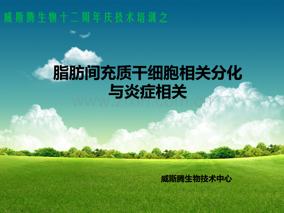 脂肪间充质干细胞相关分化与炎症相关.pptx_第1页