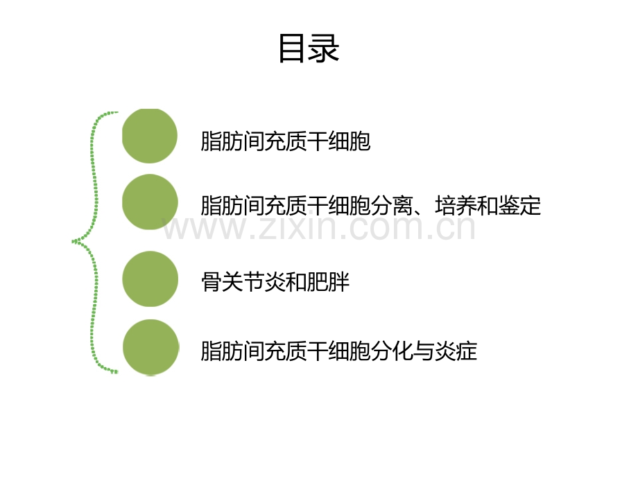 脂肪间充质干细胞相关分化与炎症相关.pptx_第2页