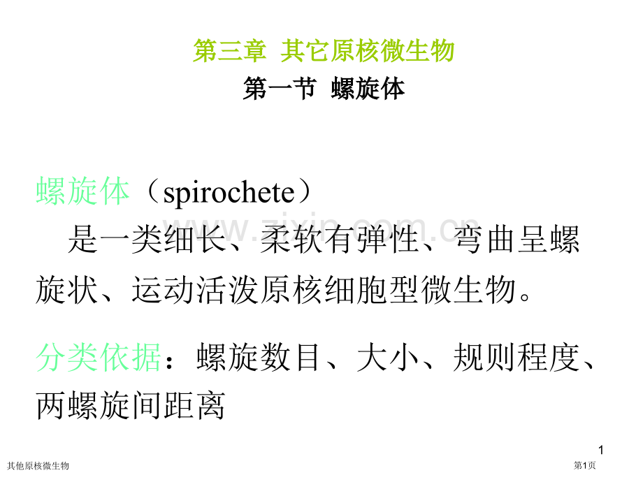 其他原核微生物专家讲座.pptx_第1页