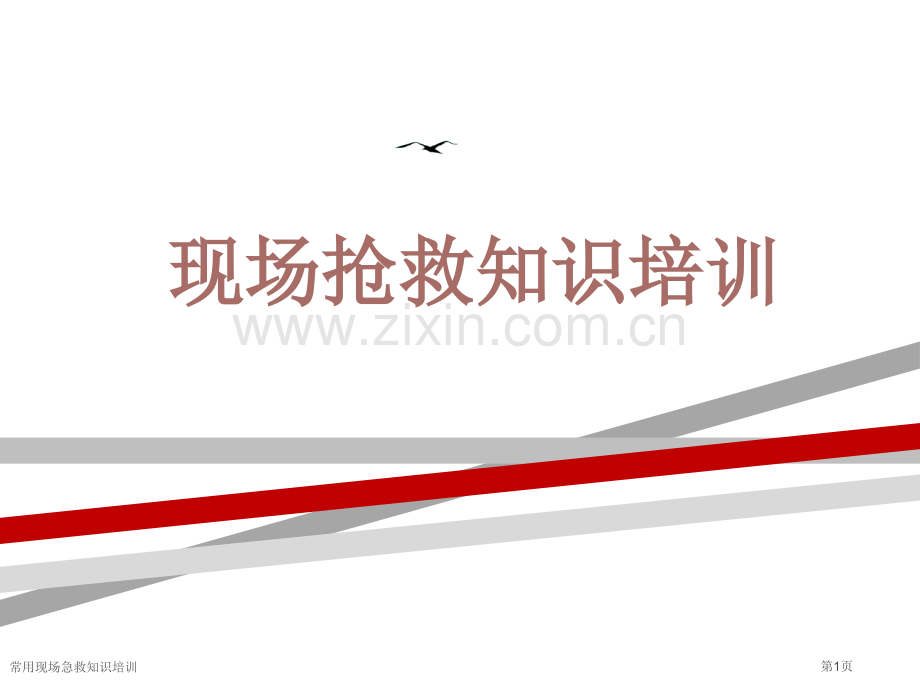 常用现场急救知识培训.pptx_第1页