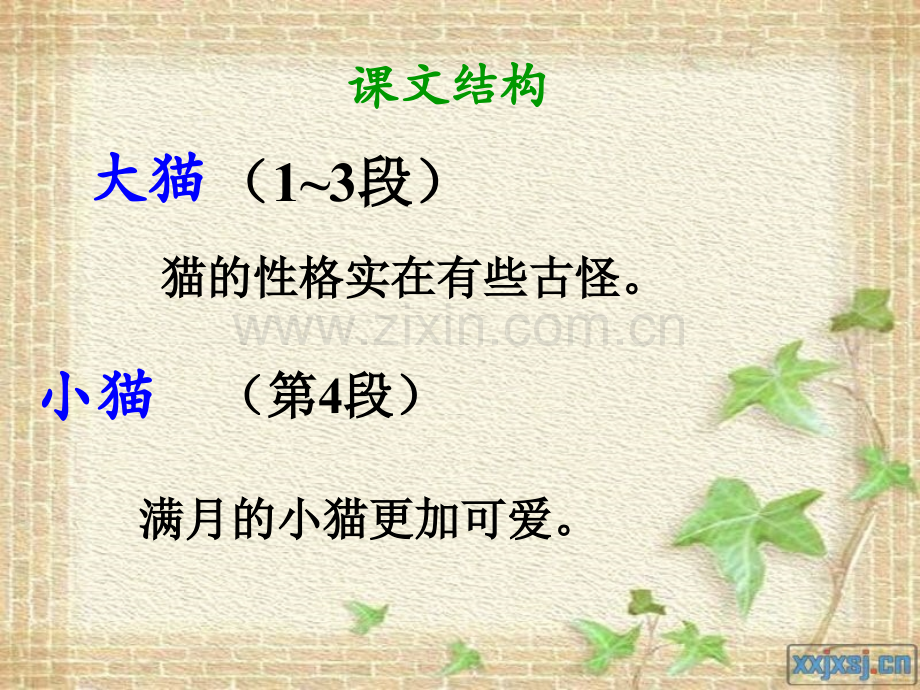 猫时公开课.pptx_第2页