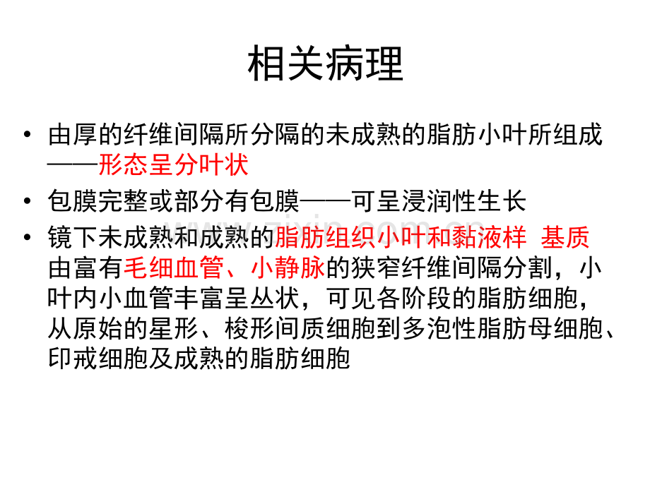 脂肪母细胞瘤.pptx_第2页